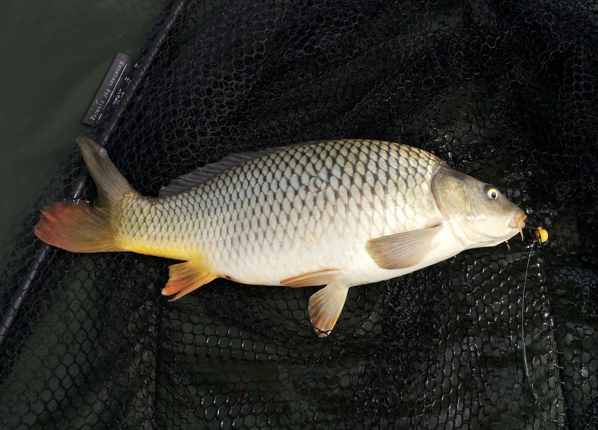 Pleasa 04-05-14 - 20140504163116-1.jpg